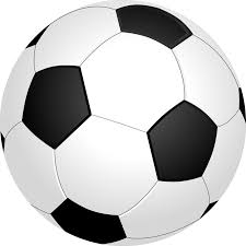 The Football Lover